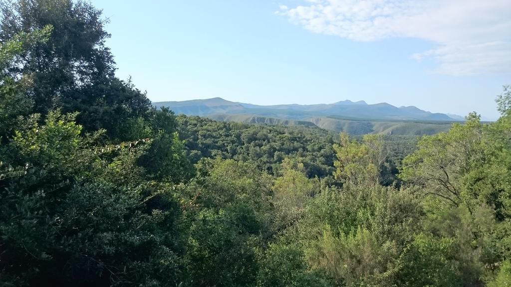 Plettenberg Bay Game Reserve: The Baroness Safari Lodge Buitenkant foto