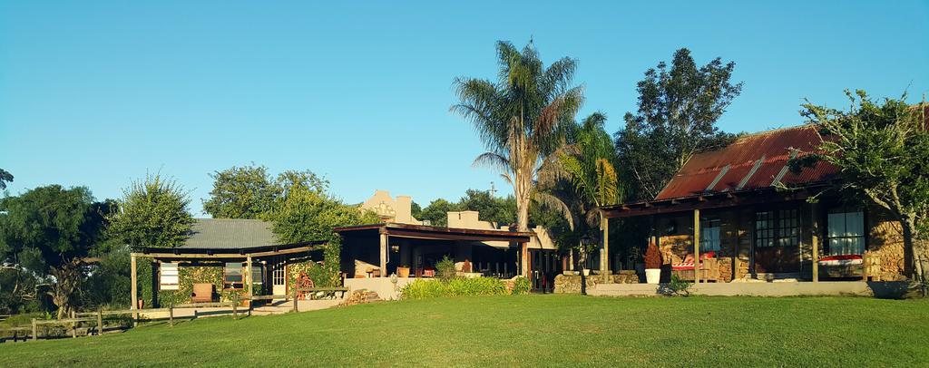 Plettenberg Bay Game Reserve: The Baroness Safari Lodge Buitenkant foto