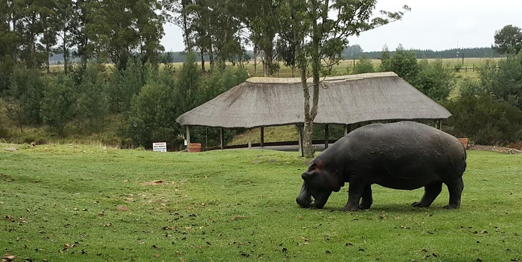 Plettenberg Bay Game Reserve: The Baroness Safari Lodge Buitenkant foto